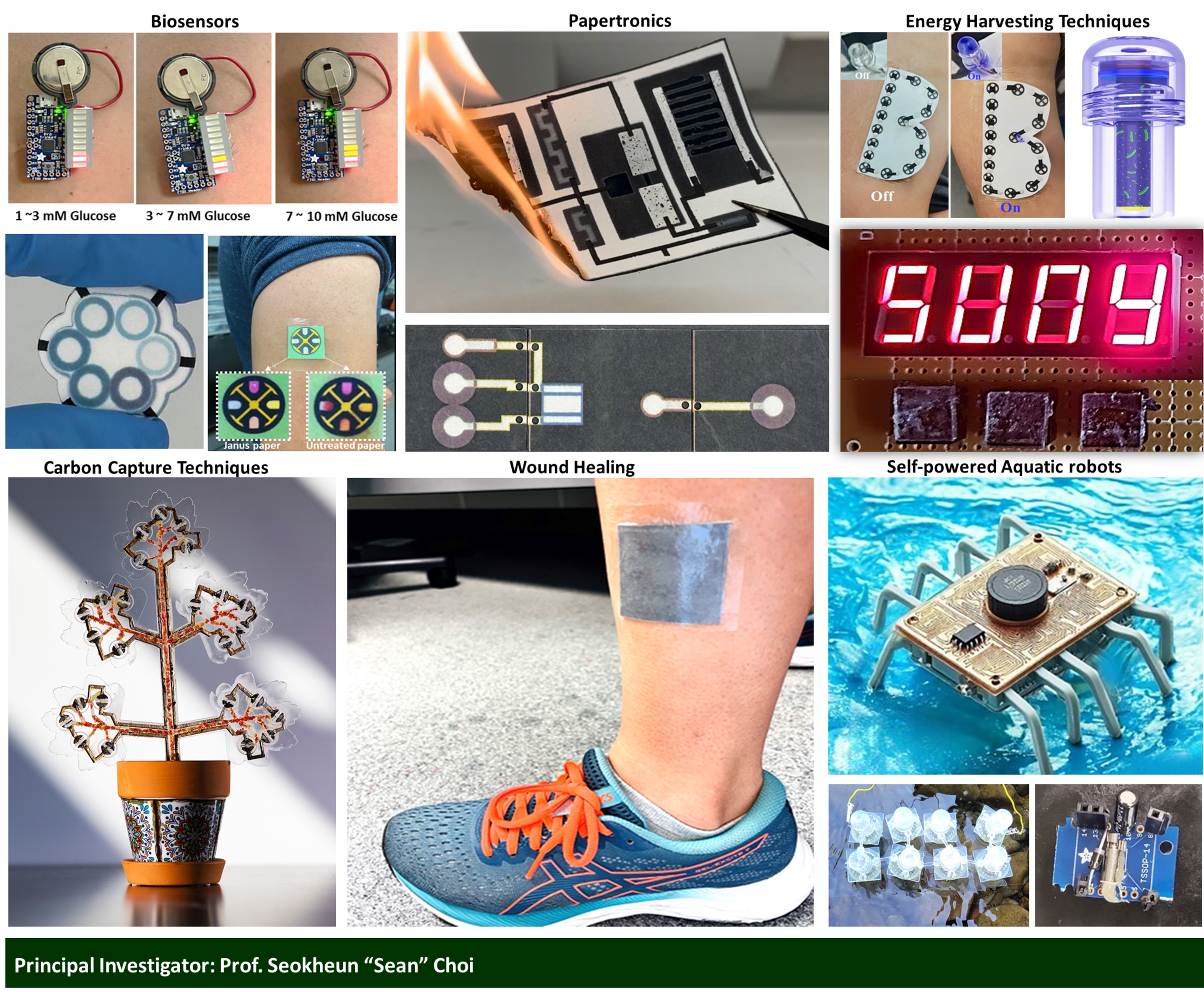 Overview of research activities in bioelectronics, biosensors, and biobatteries